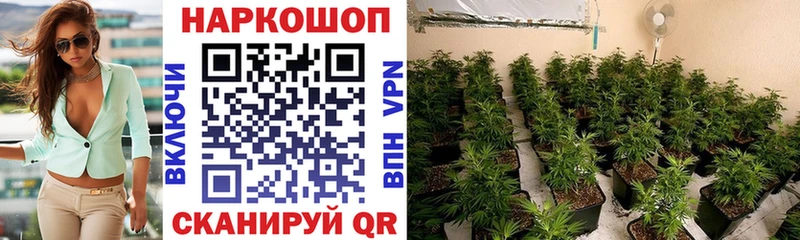 Наркошоп купить МАРИХУАНА  СК  ГАШИШ  Меф мяу мяу  Покровск