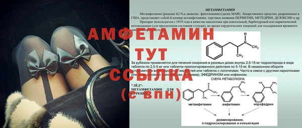 амф Ладушкин