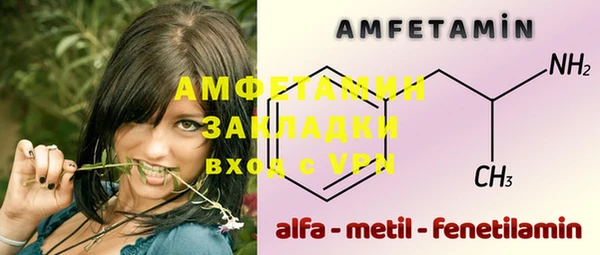 амф Ладушкин