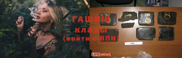 амф Ладушкин