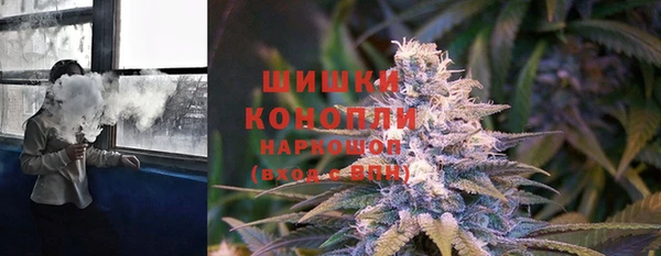 гидра Лагань