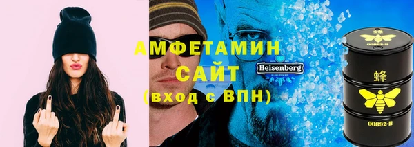 амф Ладушкин