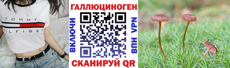 Купить где  Покровск  Псилоцибиновые грибы Magic Shrooms 